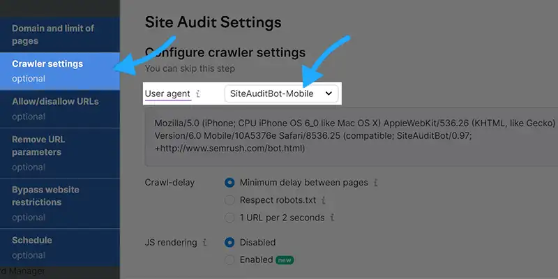 Site Audit Bot